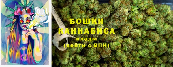 прущая мука Дмитриев