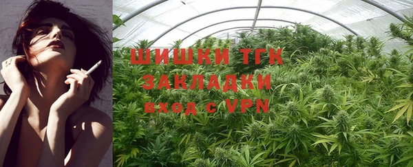 дмт Дмитров