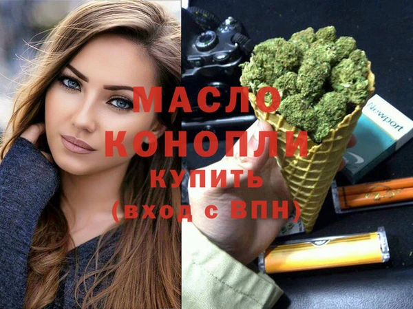 дмт Дмитров