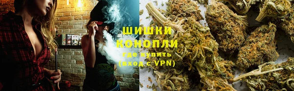 дмт Дмитров