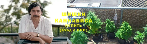 дмт Дмитров