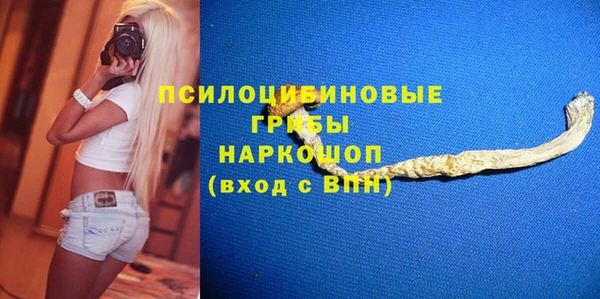 дмт Дмитров